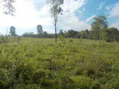 Farm Sold - QLD - Gin Gin - 4671 - 25 Acre Block on seal roads fully fenced  (Image 2)