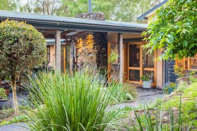 Farm Sold - VIC - Gembrook - 3783 - Peace, perfection and silver birches  (Image 2)