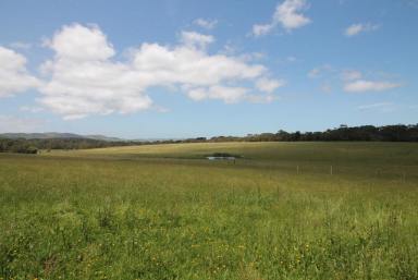 Farm Sold - VIC - Foster - 3960 - PRODUCTIVE LAND, REZONING POTENTIAL  (Image 2)