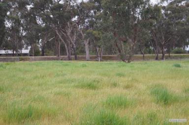 Farm Sold - VIC - Violet Town - 3669 - Your home - your land - your dream  (Image 2)
