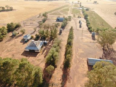 Farm Sold - NSW - Beckom - 2665 - 'Somerset Grange' Beckom NSW 557.2 ha (1376.87 acres)  (Image 2)