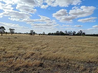 Farm Sold - NSW - Mathoura - 2710 - Great Bare Block Located On Edge of Town  (Image 2)