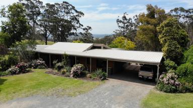 Farm Sold - VIC - Newmerella - 3886 - 22 ACRES AND HUGE FAMILY HOME IN NEWMERELLA  (Image 2)