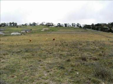 Farm Sold - NSW - Orange - 2800 - 5 ACRES - READY TO BUILD YOUR DREAM HOME  (Image 2)