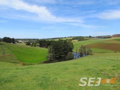 Farm Sold - VIC - Thorpdale - 3835 - 99 Acres of Rich Red Thorpdale Soil - Adjoining Heart of Town  (Image 2)