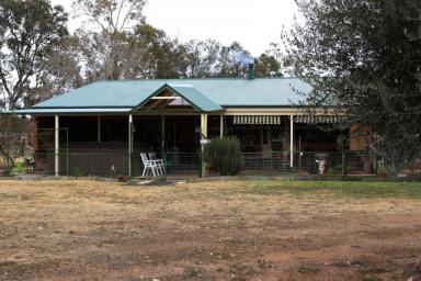 Farm Sold - NSW - Coonabarabran - 2357 - ‘BILLABONG’ PARADISE IN THE MAKING WITH 31 ACRES BORDERING THE CASTLEREAGH RIVER  (Image 2)