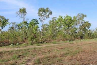 Farm Sold - NT - Blackmore - 0822 - Beautiful Block of Land to Build on  (Image 2)