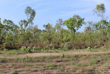 Farm Sold - NT - Blackmore - 0822 - Beautiful Block of Land to Build on  (Image 2)