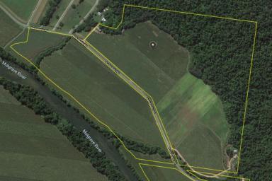 Farm Sold - QLD - Aloomba - 4871 - Lifestyle Property with Income - 130 Acres  (Image 2)