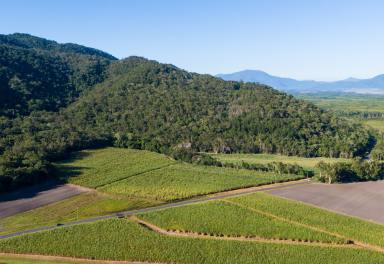 Farm For Sale - QLD - East Trinity - 4871 - Own Your Piece of Far North Queensland  (Image 2)