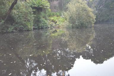 Farm Sold - TAS - Strahan - 7468 - Coastal Holding with River Frontage  (Image 2)