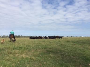 Farm Sold - NSW - Woodburn - 2472 - Cattle or Cropping  (Image 2)