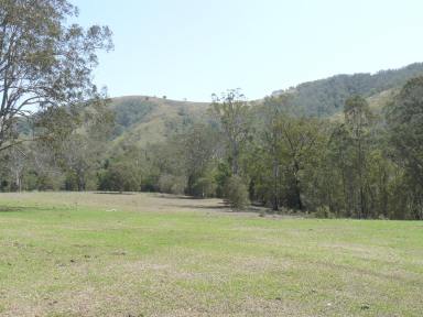 Farm Sold - NSW - Bunyah - 2429 - Grazing Acres with Room to Build  (Image 2)