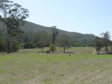 Farm Sold - NSW - Bunyah - 2429 - Grazing Acres with Room to Build  (Image 2)