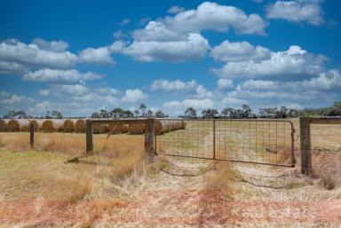 Farm Sold - WA - Harvey - 6220 - New Price- Seller is Motivated!!  (Image 2)