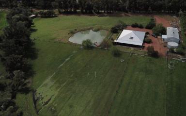 Farm Sold - WA - Waroona - 6215 - LIFESTYLE PROPERTY - HOUSE AND LAND  (Image 2)