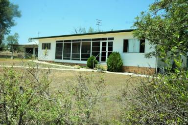 Farm Sold - NSW - Merriwa - 2329 - "Kaya" First time offered for sale!  (Image 2)
