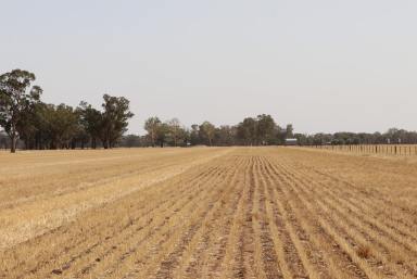Farm For Sale - NSW - Combaning - 2666 - Beautiful Cropping Country In Tightly Held Area  (Image 2)