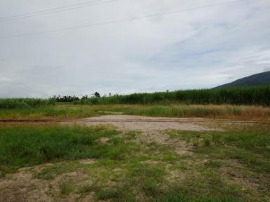 Farm Sold - QLD - Tully - 4854 - UNBEATABLE LOCATION  (Image 2)