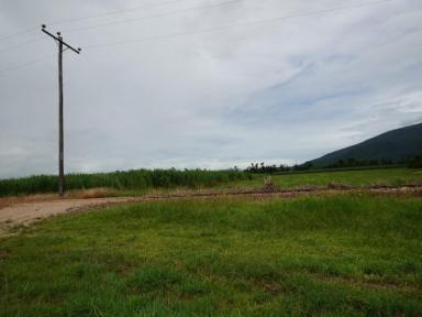 Farm Sold - QLD - Tully - 4854 - UNBEATABLE LOCATION  (Image 2)