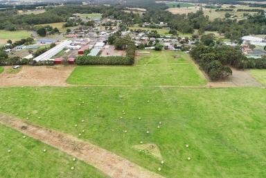 Farm Sold - VIC - Timboon - 3268 - 83 ACRES - MINUTES FROM THE GREAT OCEAN ROAD  (Image 2)