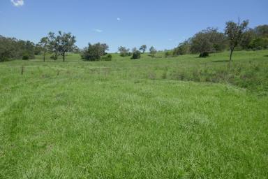Farm Sold - NSW - Kyogle - 2474 - REDUCED TO SELL  (Image 2)
