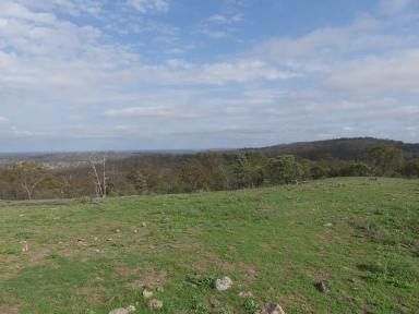 Farm Sold - QLD - Dalveen - 4374 - Beautiful views-Loads of Space-rewind and enjoy  (Image 2)