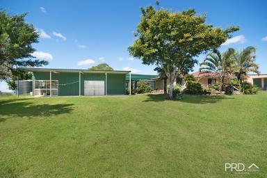 Farm Sold - NSW - Kyogle - 2474 - REDUCED: Rural Living at its Best  (Image 2)