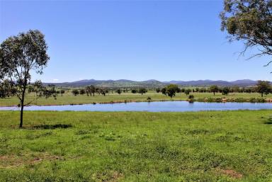 Farm Sold - NSW - Quirindi - 2343 - "ROSEHILL"  (Image 2)