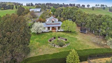 Farm Sold - NSW - Crookwell - 2583 - Best Of Both Worlds  (Image 2)