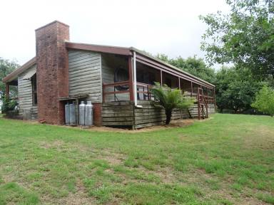 Farm Sold - VIC - Beech Forest - 3237 - Perfect Hobby Farm Getaway.....  (Image 2)