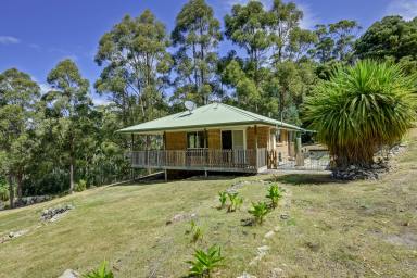 Farm Sold - TAS - Eaglehawk Neck - 7179 - Tranquil and Secluded Position   (Image 2)