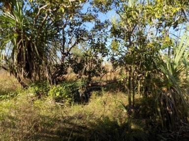 Farm Sold - NT - Rum Jungle - 0822 - 320 acres ready for a new owner!  (Image 2)