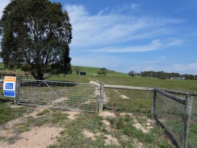 Farm Sold - VIC - Metung - 3904 - BY THE LAKE WITH 3 ACRES  (Image 2)