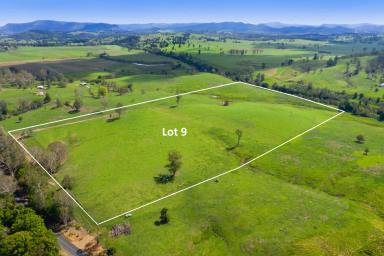 Farm Sold - QLD - Carters Ridge - 4563 - Mary River Frontage - 40 Acre Block  (Image 2)