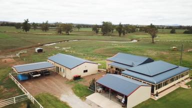 Farm Sold - NSW - Nemingha - 2340 - Springvale Tamworth  (Image 2)