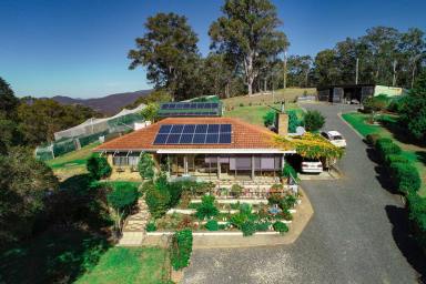 Farm Sold - NSW - Waukivory - 2422 - Sustainability, Tranquility and Lifestyle  (Image 2)