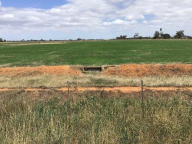 Farm Sold - VIC - Kyabram South - 3620 - The ideal outblock  (Image 2)