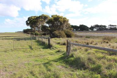 Farm Sold - SA - Senior - 5268 - FOR SALE OR WITH LEASE BACK INVESTMENT OPPORTUNITY    (Image 2)