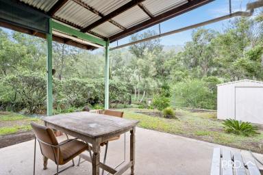 Farm Sold - NSW - Kyogle - 2474 - Quaint Timber Cottage and Granny Flat on 7 Acres  (Image 2)