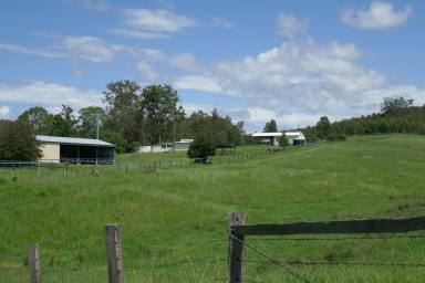 Farm Sold - NSW - Kyogle - 2474 - IRON POT CREEK FRONTAGE  (Image 2)