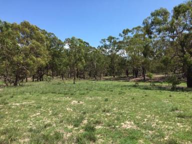 Farm Sold - QLD - Dalveen - 4374 - Great value for lots of land  (Image 2)