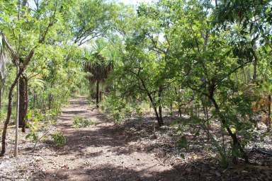 Farm For Sale - NT - Darwin River - 0841 - Vacant Land 320 Acres zoned rural  (Image 2)