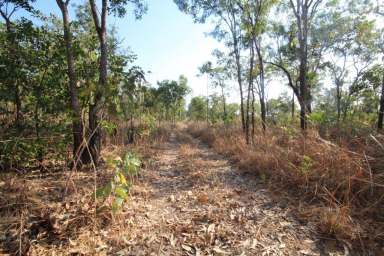 Farm For Sale - NT - Darwin River - 0841 - Vacant Land 320 Acres zoned rural  (Image 2)