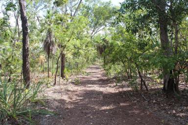 Farm For Sale - NT - Darwin River - 0841 - Vacant Land 320 Acres zoned rural  (Image 2)