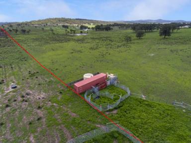 Farm Sold - QLD - Dalveen - 4374 - ACREAGE with TWO SOLID BRICK RESIDENCE & MORE...  (Image 2)