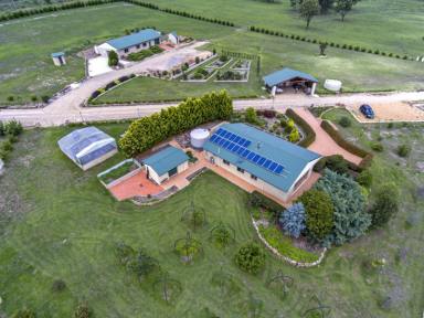 Farm Sold - QLD - Dalveen - 4374 - ACREAGE with TWO SOLID BRICK RESIDENCE & MORE...  (Image 2)