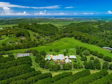 Farm Sold - NSW - Tuckombil - 2477 - Rucamanqui -  Escape to the Country, Fly to the City!  (Image 2)