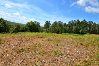 Farm Sold - QLD - Eudlo - 4554 - PRIVACY, VALLEY VIEW, DAMS AND SHEDS  (Image 2)