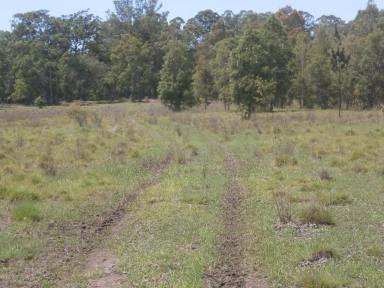 Farm Sold - NSW - Nabiac - 2312 - 20 Acres with Shed and Power  (Image 2)